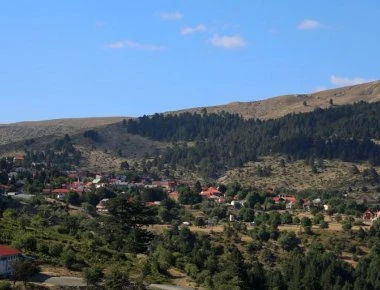 Der Standard: «Απειλείται με φτώχεια το 40% του πληθυσμού των Ελλήνων που ζουν στην ύπαιθρο»